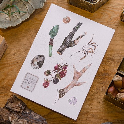 Forest Collection Postcard - Antlers and Wild Berries