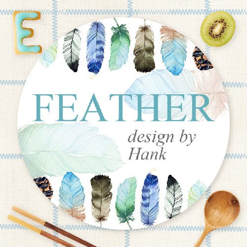 004-H01 Feather