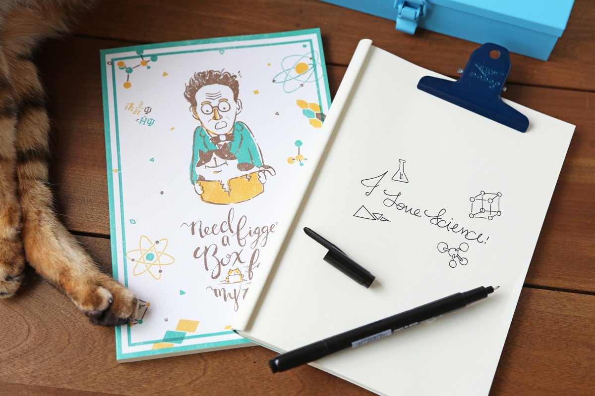 Mr. Schrödinger and His Cat Notebook