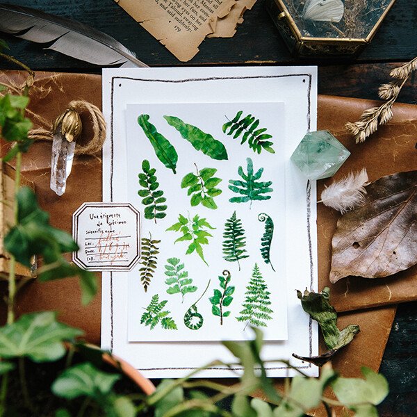 Ferns Transfer Sticker