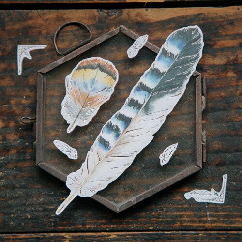 Feather Sticker Paper